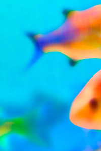 SEALIFE DORTMUND
