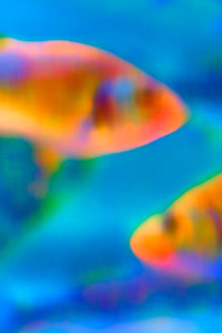 SEALIFE DORTMUND