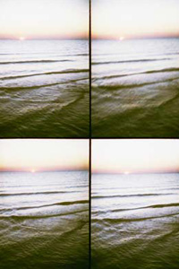HIDDENSEE 2006