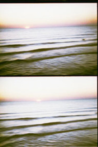 HIDDENSEE 2006