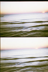 HIDDENSEE 2006