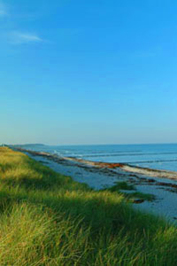 HIDDENSEE
